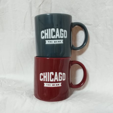 DONATION（寄付4,000円）→CHICAGOマグ（スレートグレー）／2024夏マグ A