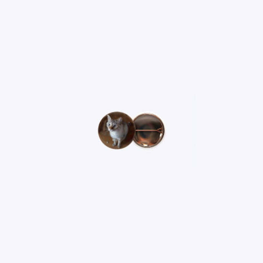 6305acc7e502b16ce23c1ec4