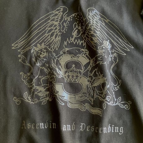 Ascending and Descending T-shirt: Black/Long Sleeve
