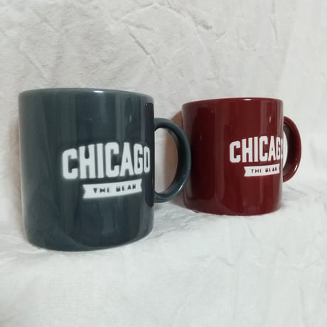 DONATION（寄付4,000円）→CHICAGOマグ（スレートグレー）／2024夏マグ A