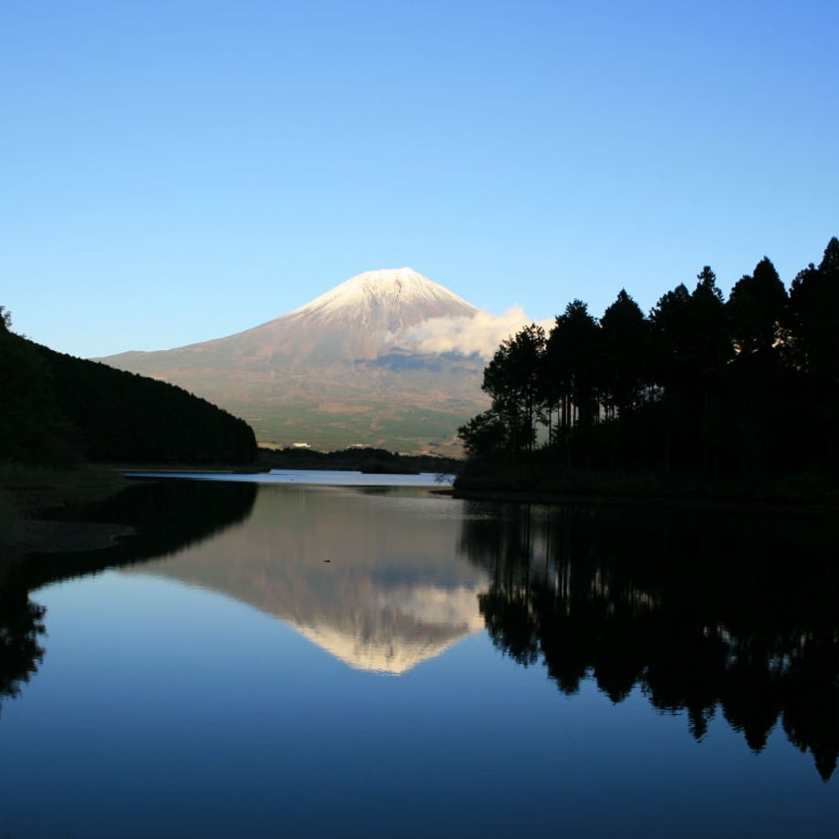 58a0611100d331cb2b00f50f