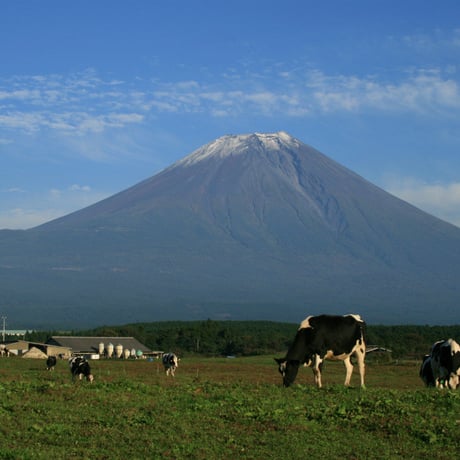 【完売】はがきサイズ おばけパズル （富士山麓ヒノキ無垢材5mm厚）