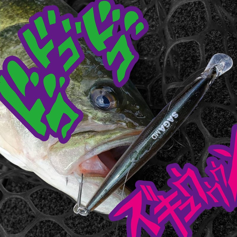 SAGA 80 MD（MEDIUM DEEP） | DEPP TOKYO