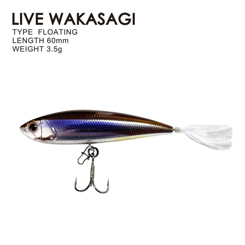 2022 LUPEN ROLLIN（ローリン） | DEPP TOKYO