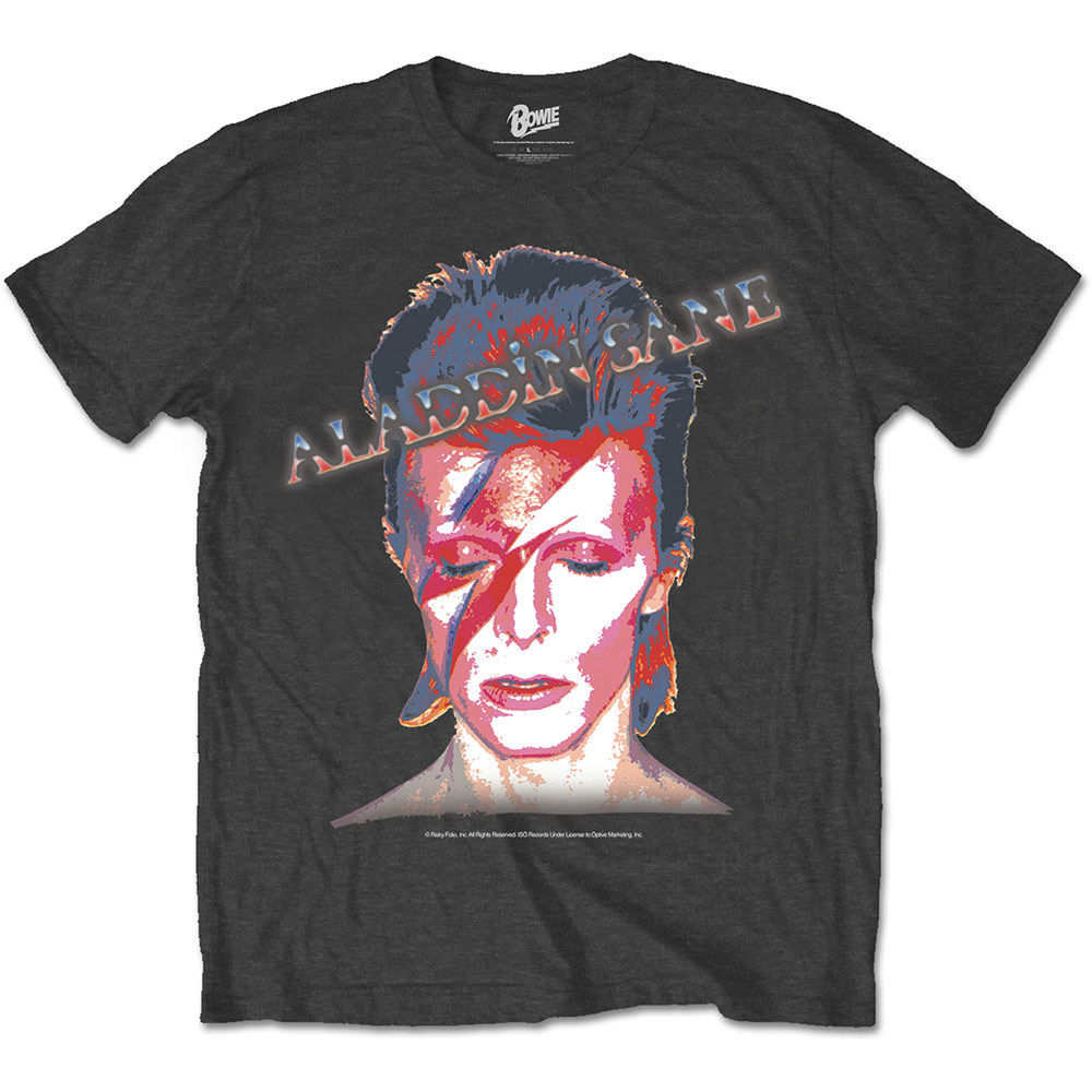 DAVID BOWIE : aladdin sane (ユニセックス バンドTシャツ) 【HV