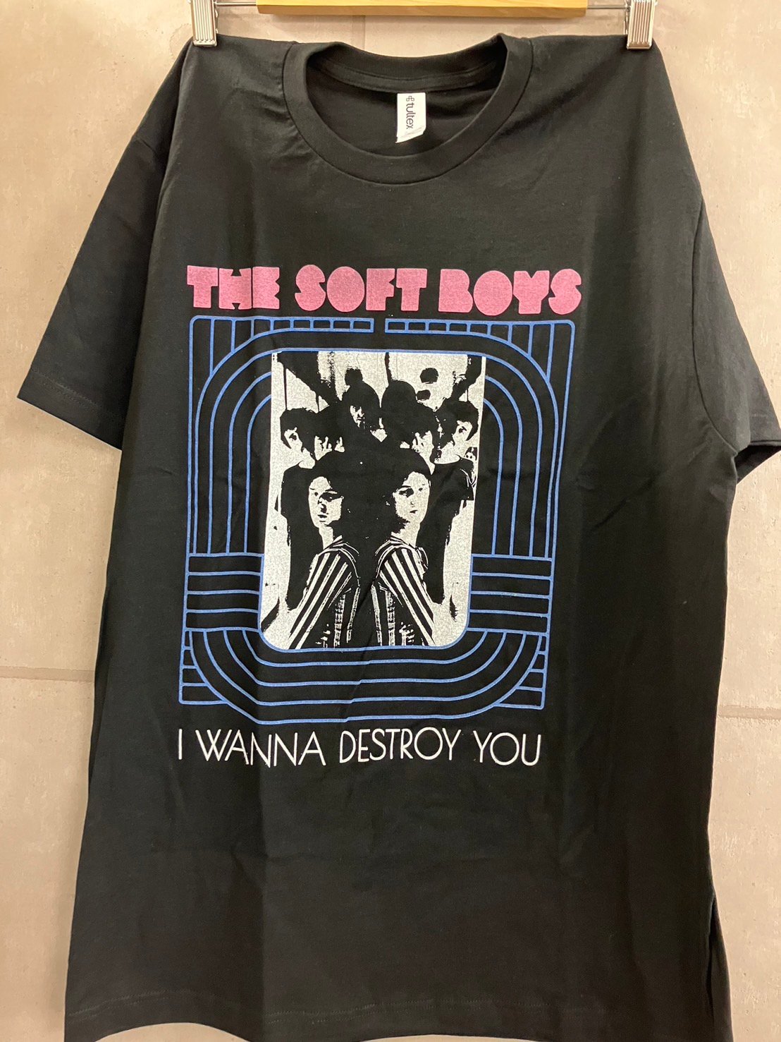 THE SOFT BOYS : I Wanna Destroy You (ユニセックス