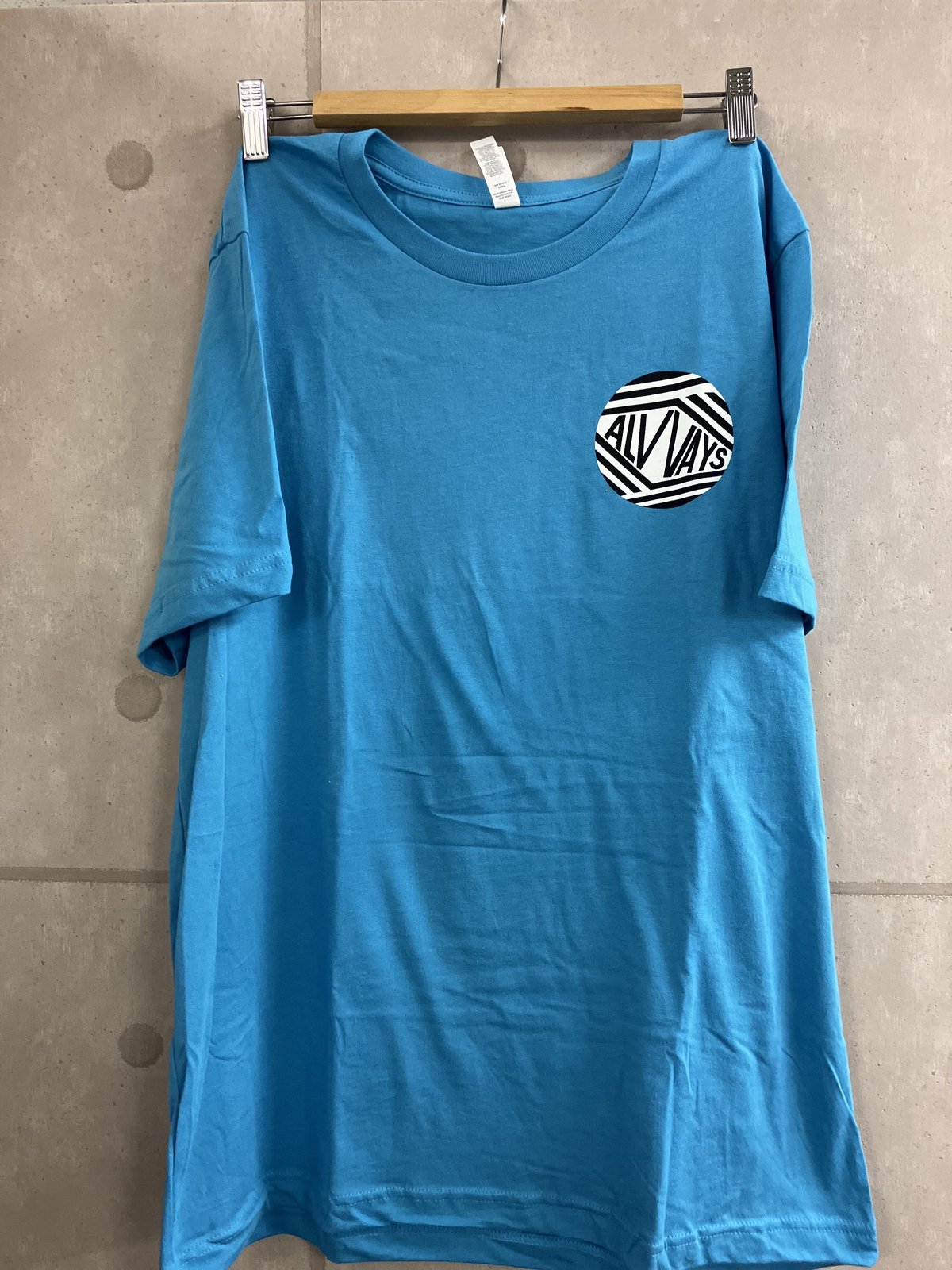 ALVVAYS バンドTシャツ Lサイズ グッズ USインディロック ビンテージ alvvays | STORES