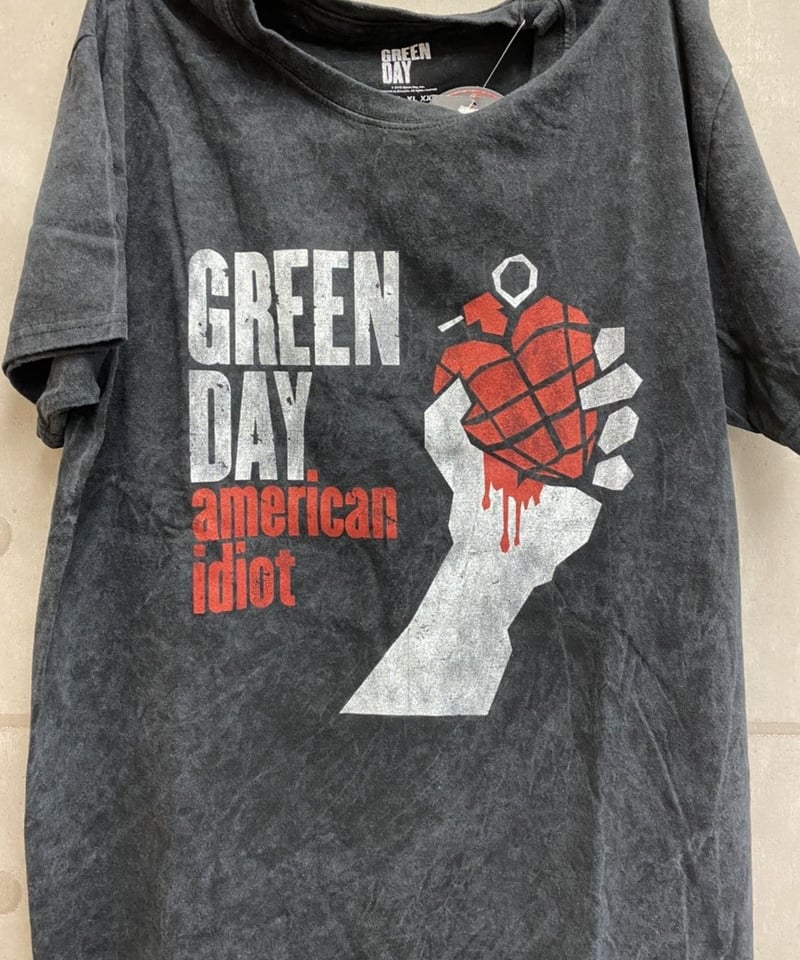 GREEN DAY: american idiot vintage with snow was