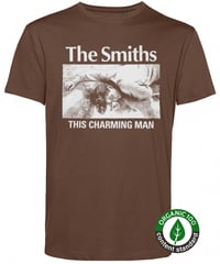 the pastels Tシャツ　Sサイズ　パステルズ　オフィシャル ザ・パステルズ The Pastels 音楽Tシャツ ロックTシャツ バンドT