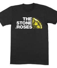 The Monochrome Set : The Monochrome Set (ユニセックス