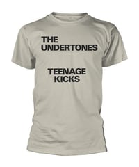 THE UNDERTONES:TEENAGE KICKS TEXT (unisex t shirts) (ユニセックス 海外輸入バンド アーティスト Tシャツ) 【HV07-T01-01-S～XL】
