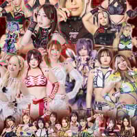 【指定Ｂ席】 STARDOM 福山大会 2025年04月29日(火祝)