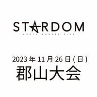 【指定Ｂ席】 STARDOM 郡山大会 2023年11月26日(日) IKG特別先行