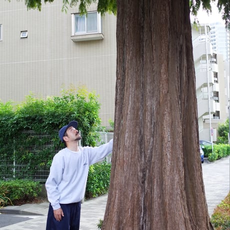 Twin Metasequoras ／ スウェット