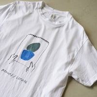 マッソニアーナ／ AYANAS & Letitbe Coffee