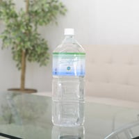 ピュアポイントVOICE (ボディ装着用） | ZENING ココカラ