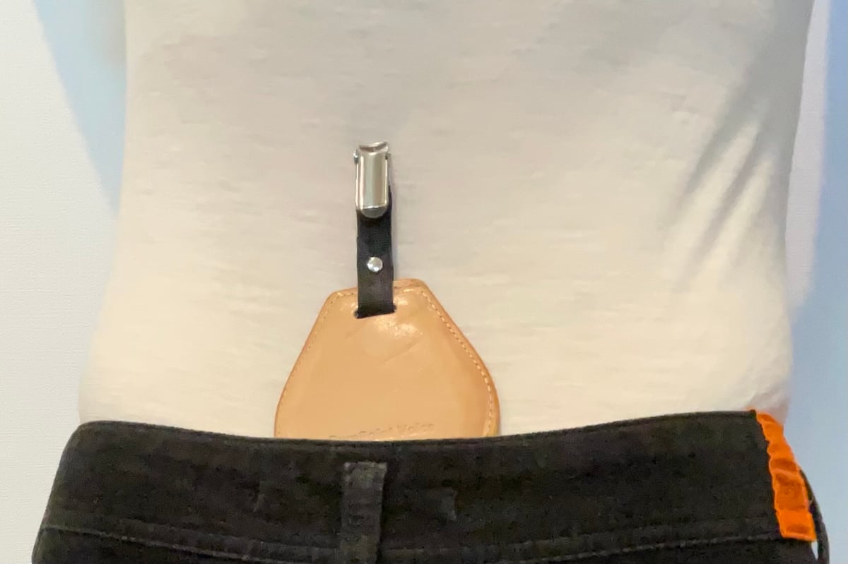 ピュアポイント ボイス fit=scale-down,w=1200