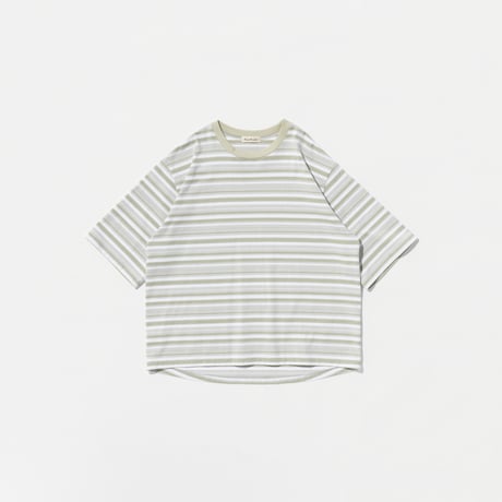 POLYPLOID   T SHIRT B ( セージ/ホワイト)