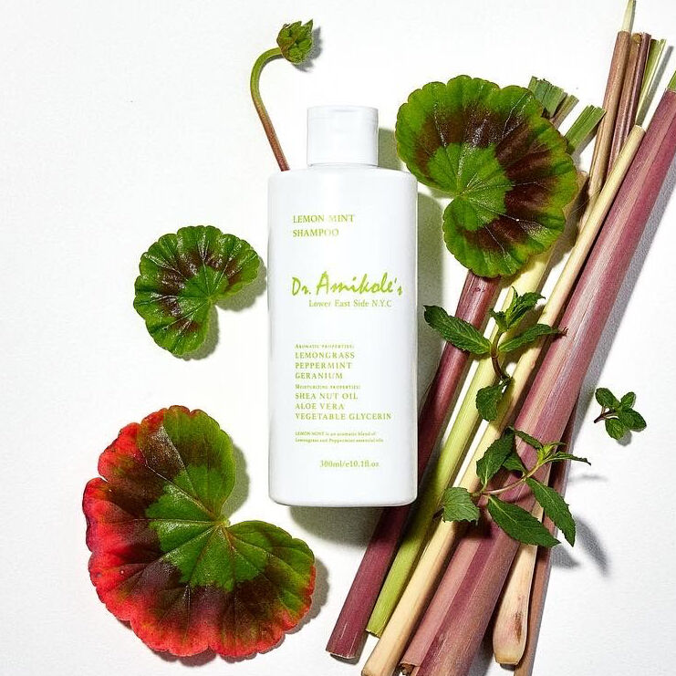 シャンプー（レモンミント）300ml | AMIKOLE ONLINE STORE