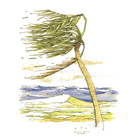 額装イラスト／海風