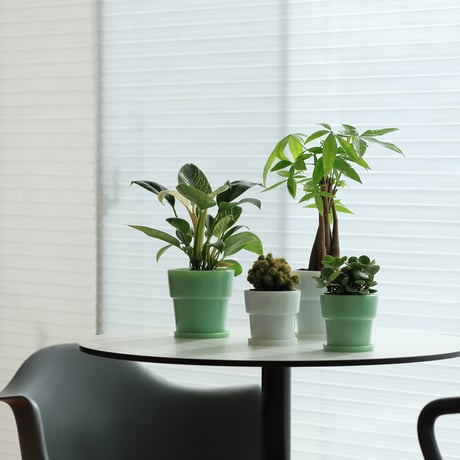 Milk Glass Planter Pot3