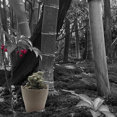 Plastic Pot Cliff No.4