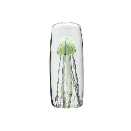 Jellyfish Twisted Leg