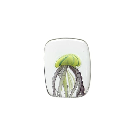 Jellyfish Twisted Leg