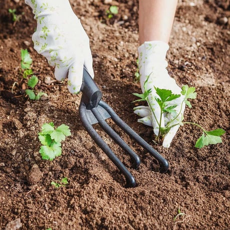 STORES ガーデニングの検索結果
