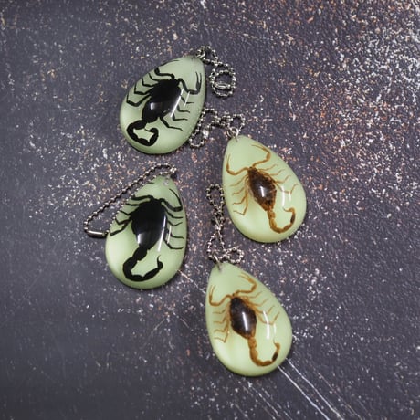 GLOW SCORPION DROP KEYCHAIN