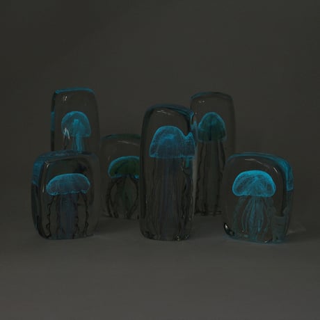 Jellyfish Twisted Leg