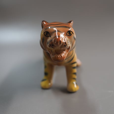 Chiang Mai Tiger