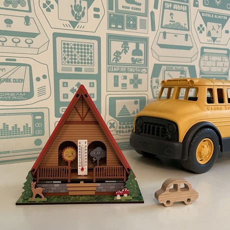 Make Your Own Weather House