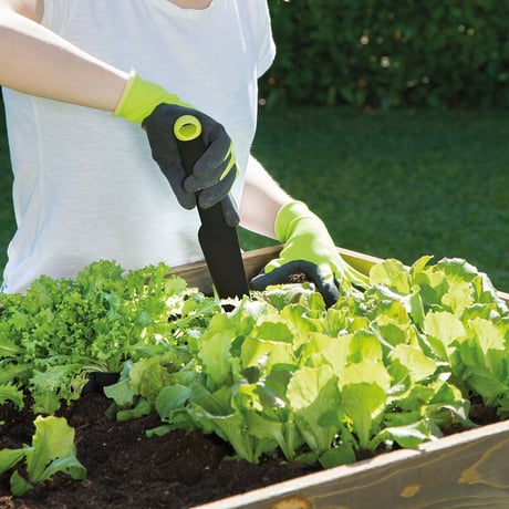Habitat Weed Extractor