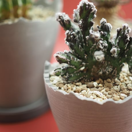 Plastic Pot Cliff No.4