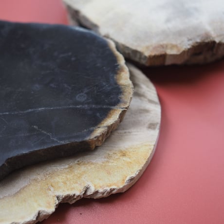 WOOD COASTER