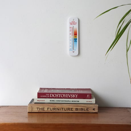 Plastic Wall Thermometer 155mm Comfort