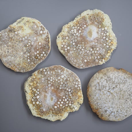 BEEHIVE COASTER