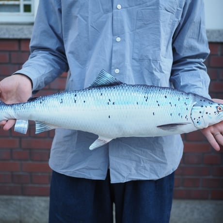 Fishes cushion