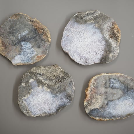 CORAL COASTER