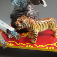 Chiang Mai Tiger