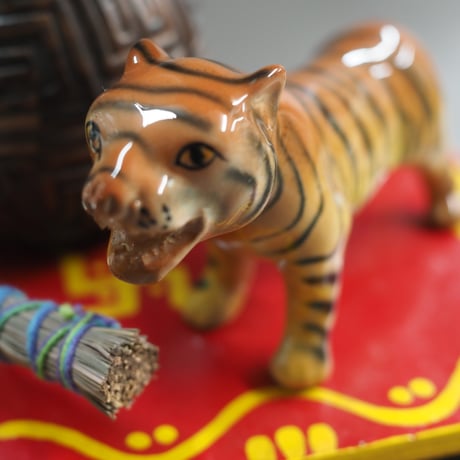 Chiang Mai Tiger