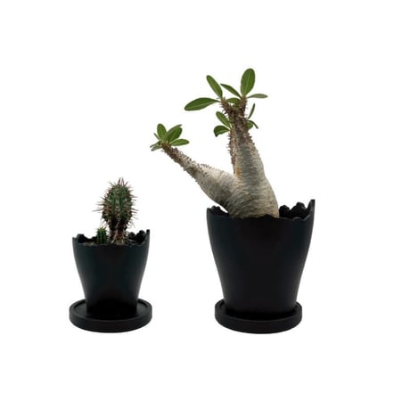 Plastic Pot Cliff No.3