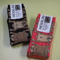 HOiSUM "SHIBAINU"