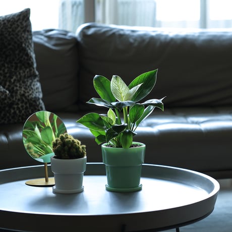 Milk Glass Planter Pot3