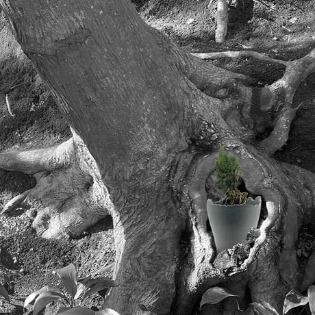 Plastic Pot Cliff No.4