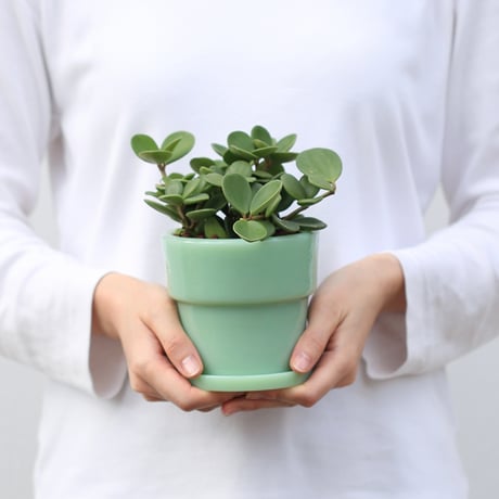 Milk Glass Planter Pot3