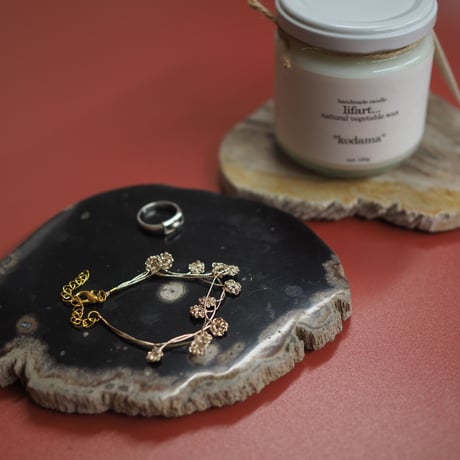 WOOD COASTER