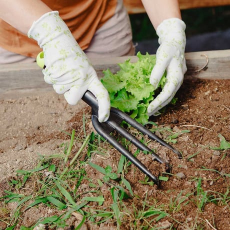 Habitat 3 Prong Cultivator