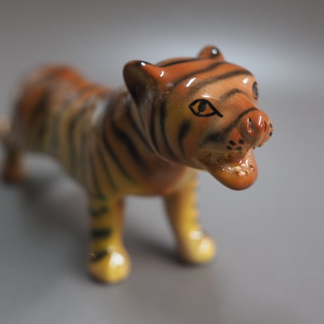 Chiang Mai Tiger
